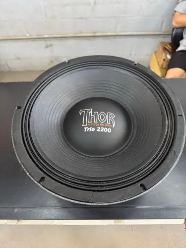 Alto-falante 12? THOR 2200