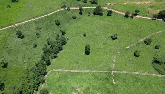 meio alqueire de terra em Guapo (3Km da cidade). 