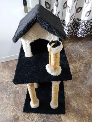 CASINHA DE GATO