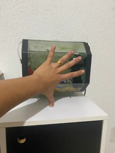 Aquário com filtro e oxigênio pedra de decoração muito espaçoso