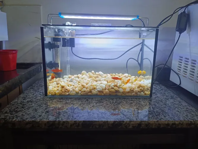 AQUÁRIO 13 LITROS COMPLETO 
