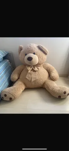 Urso