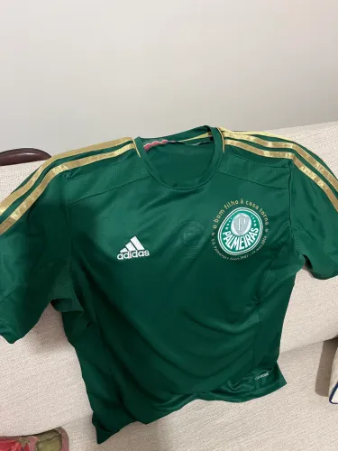 Camisa do palmeiras 2014 ( aceito troca )