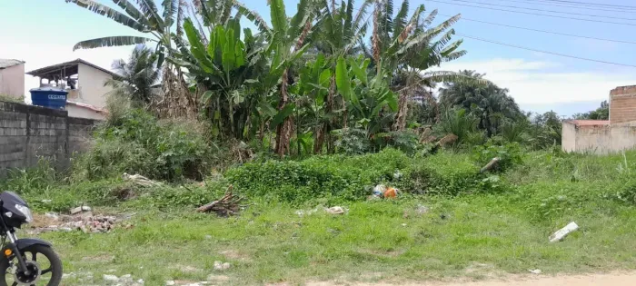 Terrenos, sítios e fazendas - São Francisco, Ilhéus - BA | OLX