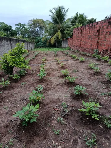 Terreno a venda em Macaíba
