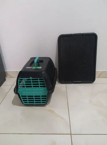 Casa para cachorro e lugar de fazer xixi