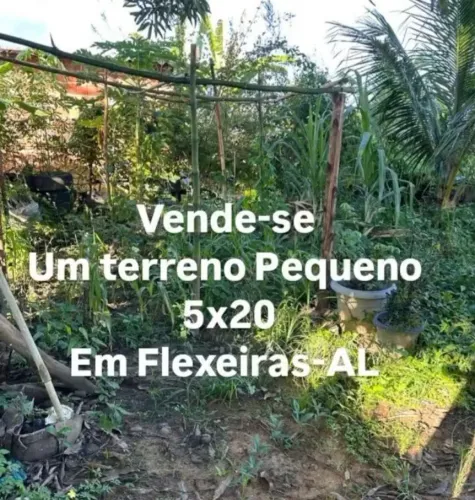 VENDE-SE ESTES TERRENOS