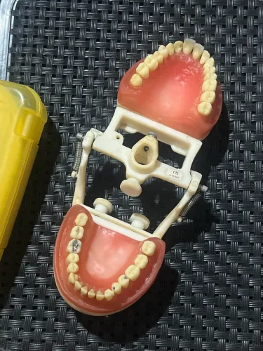 Manequim de dentistica/ protese pronew