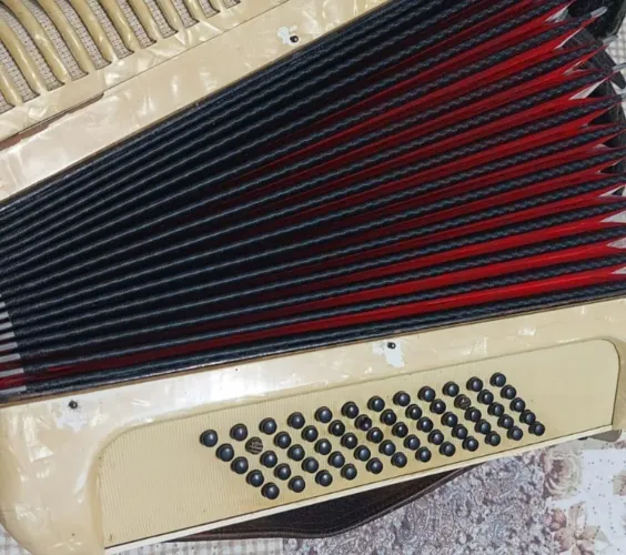 Safona muito conservada, de fabricação Alemã. muito bem construída com fole novo.