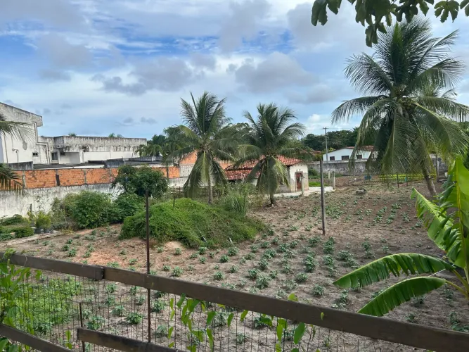 TERRENO 2160m2 ABRANTES