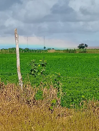 Vende-se terreno 55 x55 mts  Tem *