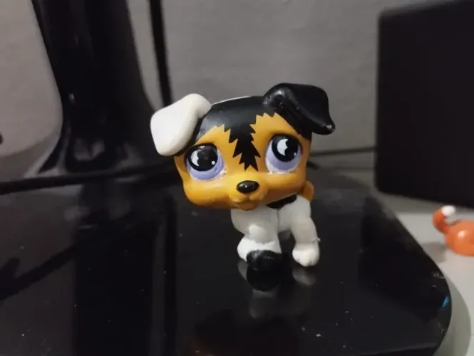 Littlest pet shop Jack russel original #803 (ler descrição)