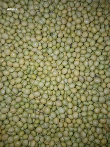 Sementes de Soja Edamame