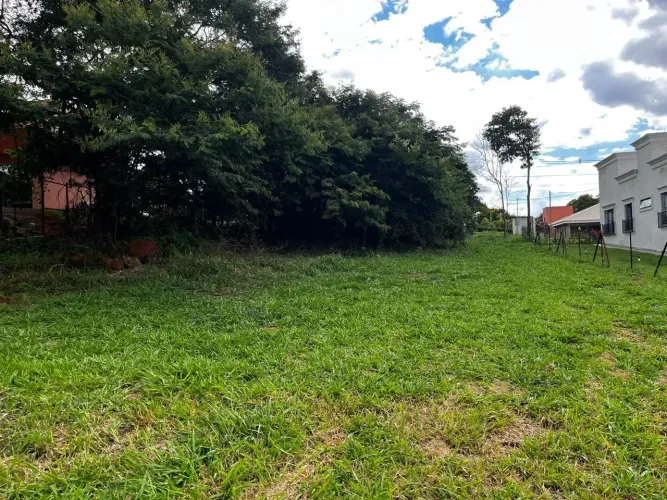 Lote/Terreno para venda com 1000 metros quadrados em Vila São Tarcísio - Mário Campos - Mi