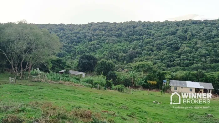 Sítio com 4 dormitórios à venda, 344850 m² por R$ 1.400.000,00 - Sete Salto - Palmital/PR
