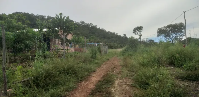 Lote Rural Palmas 5 km IFTO Pega carro