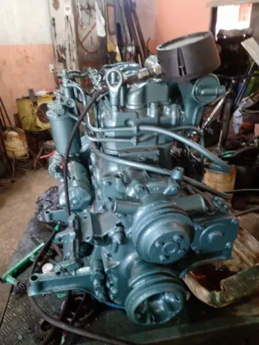 Motor MWM 229