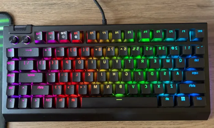 Razer Blackwidow V4 75%