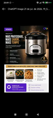 Panela Elétrica de Arroz Mondial Pratic 6 - Cabreúva SP