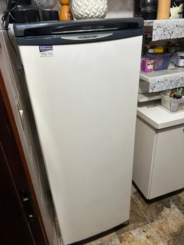 Freezer Prosdócimo F21 210 litros