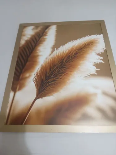 Quadro