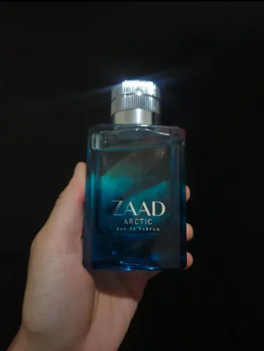 Zaad Arctic 100ml