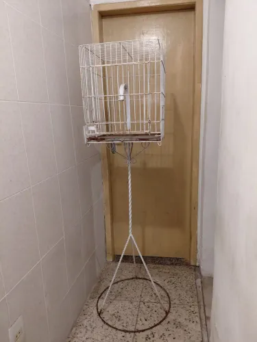Gaiola para papagaio