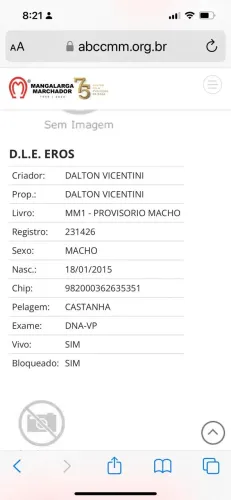 Cavalo Mangalarga Marchador