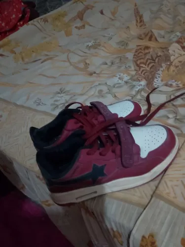 Tenis