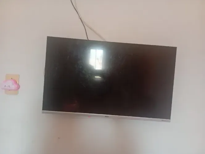 Televisão