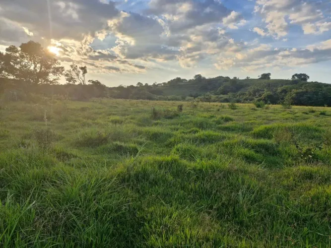 Sítio para Venda em Pereiras, Área Rural de Pereiras