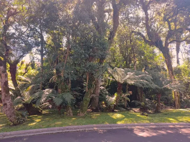 Terreno à venda Mato Queimado Gramado/RS