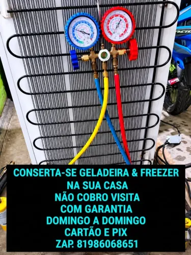 Conserta-se Geladeira/Freezer/Cervejeira 