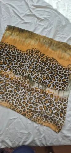 Saídas de Praia Diversas