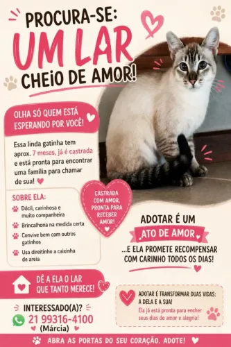 Gatinha pra adoção 