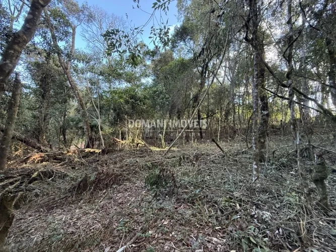 Oportunidade Exclusiva de Terreno na Região do Alto da Vila Inglesa - Campos do Jordão/SP