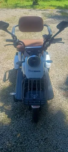 TRICICLO ELÉTRICO FÊNIX 2024 ( SEM CNH)
