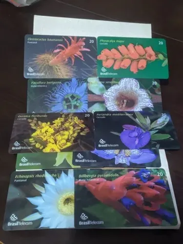 Folder Oficial Completo Cartões Telefônicos Flores Raras Brasil Telecom(RARO)
