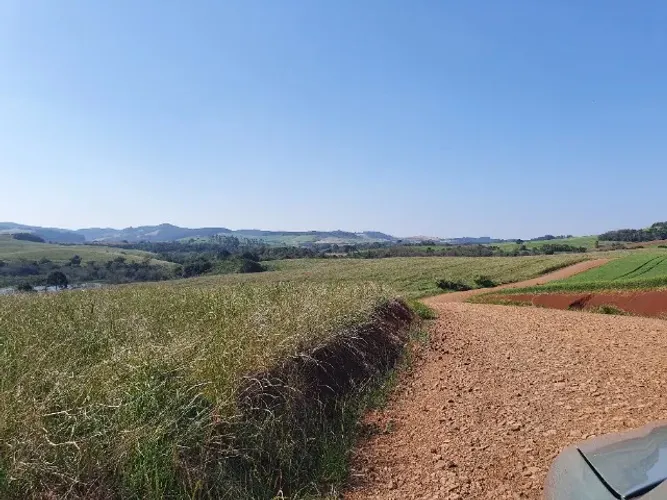 21 Alqueires Plantando 15 abre mais um pouco a 3 km da Br e 6 da Cooperativa