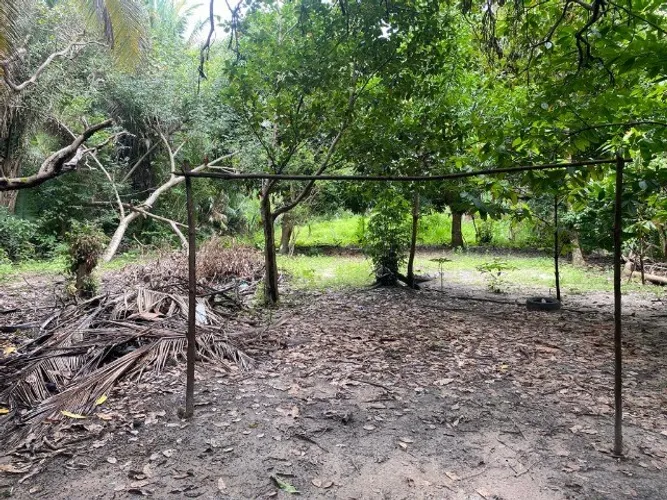 Sitio na avenida principal do timbuba, 25 x 100 , casa simples rua asfaltada