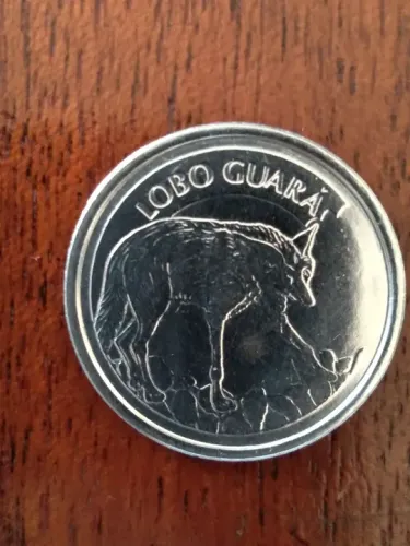 Lobo  Guará 