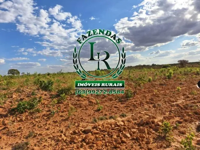 Fazenda de 416 Alqueires Plana
