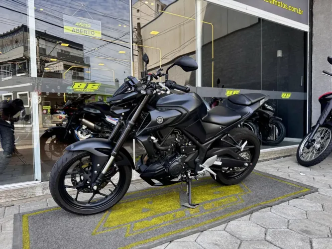 Yamaha MT 03 321