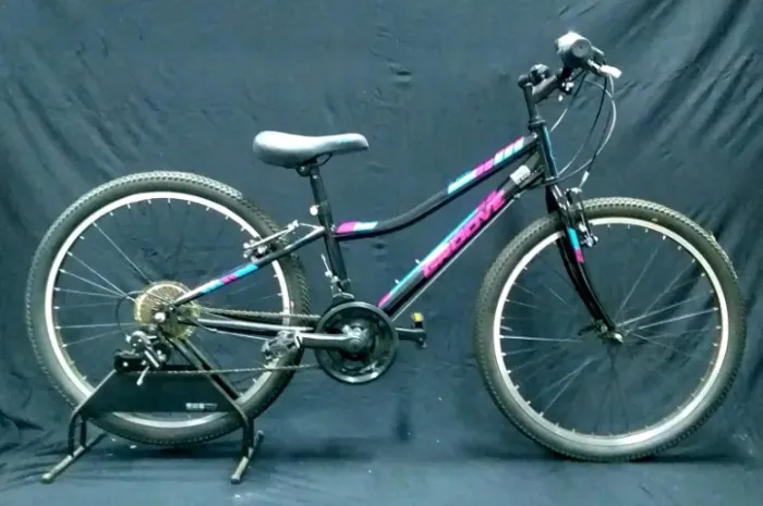 Bicicleta Nova Groove Indie Aro 24 Preta/Roxa