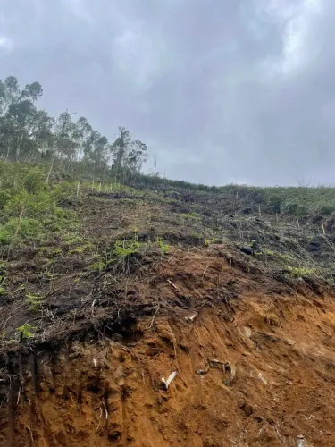 Terreno nas montanhas capixabas. Santa Maria de Jetibá.