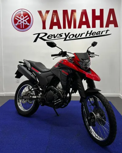 XTZ 250 LANDER 249cc/LANDER BLUEFLEX/ABS