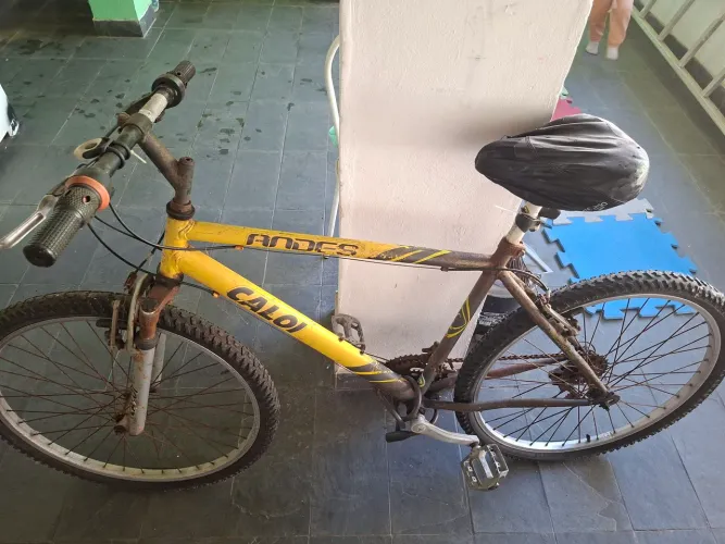 Bicicleta Caloi Andes Aro 26