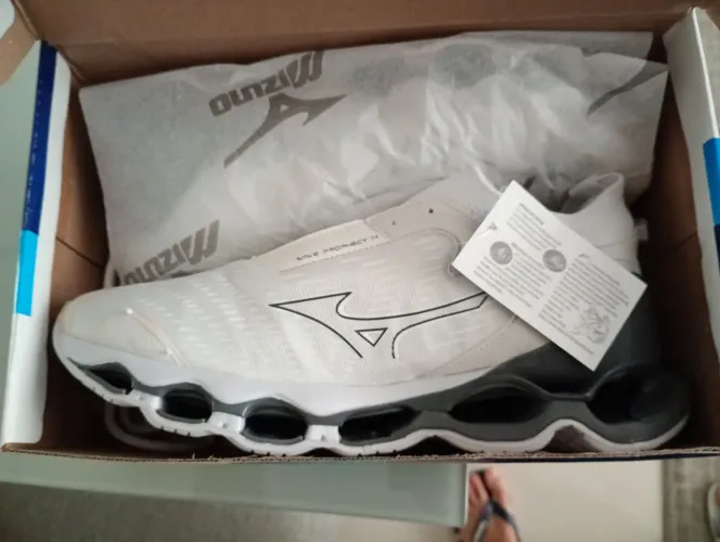 Wave prophecy 14 mizuno