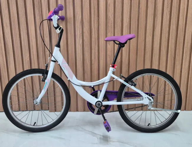 BICICLETA CECI ARO 20
