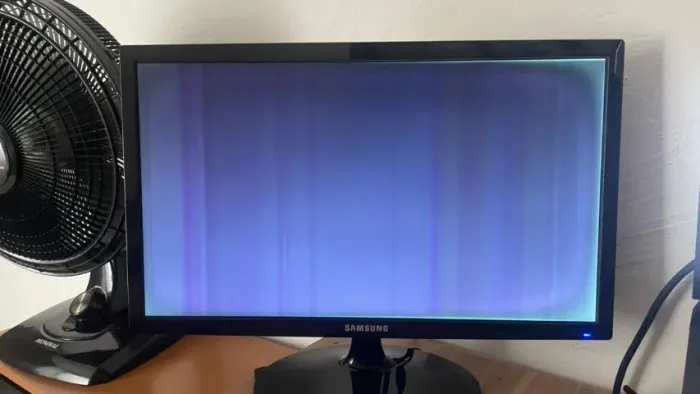 Monitor Samsung LS22B300 só as peças